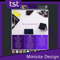 Taiwan TST Innoprint Waimaotong Website Minisite Design